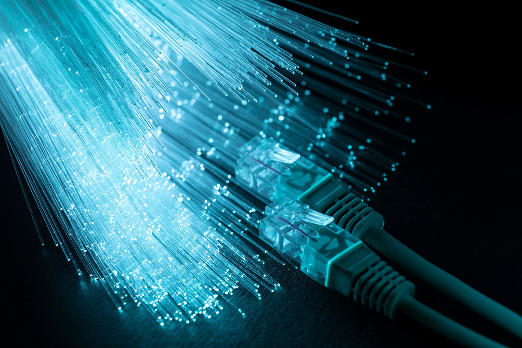 Enterprise-grade connectivity, without the enterprise price